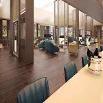 La Vita's シダ