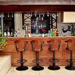 La Vita's シダ